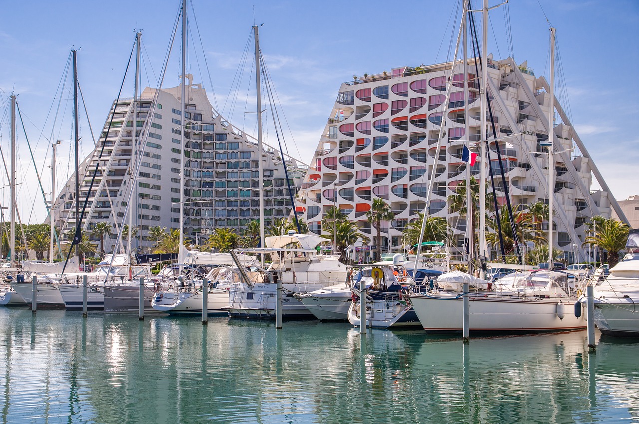 Whale watching adventure in La Paz